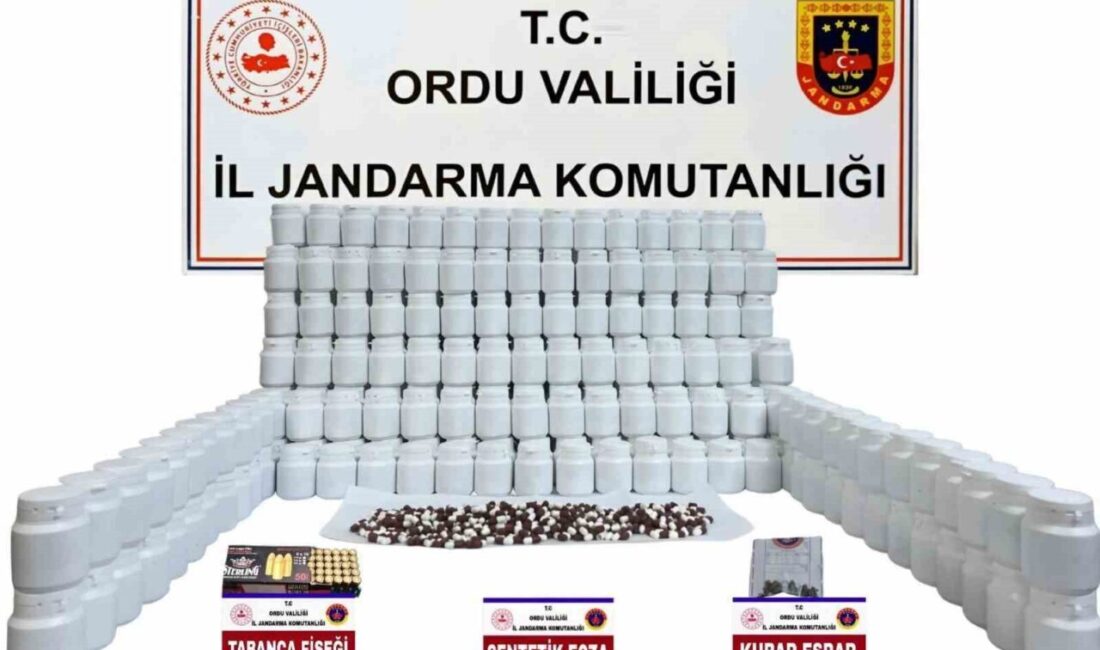 Ordu’da jandarma ekipleri, uyuşturucu ile mücadele çalışmaları kapsamında gerçekleştirilen operasyonda