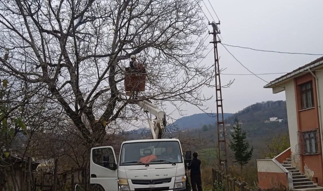 Kumru ilçesinde, elektrik tellerine temas eden ağaç dalları, Demircili Mahalle