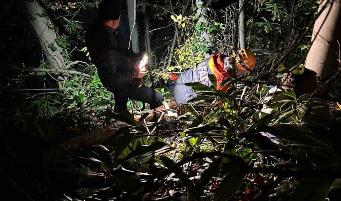 Sakarya’nın Arifiye ilçesinde, orman kesim sahasında çalışırken dengesini kaybeden ve