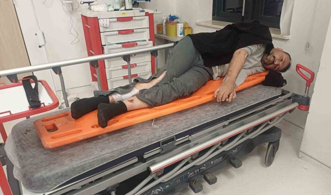 Bahçe ilçesinde, çöp toplama aracı ile otomobilin karıştığı bir kazada,