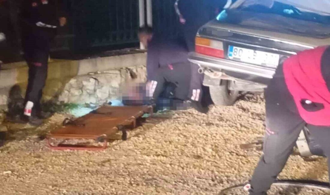 Kadirli ilçesinde park halindeki bir kamyona arkadan çarpan bir otomobilde