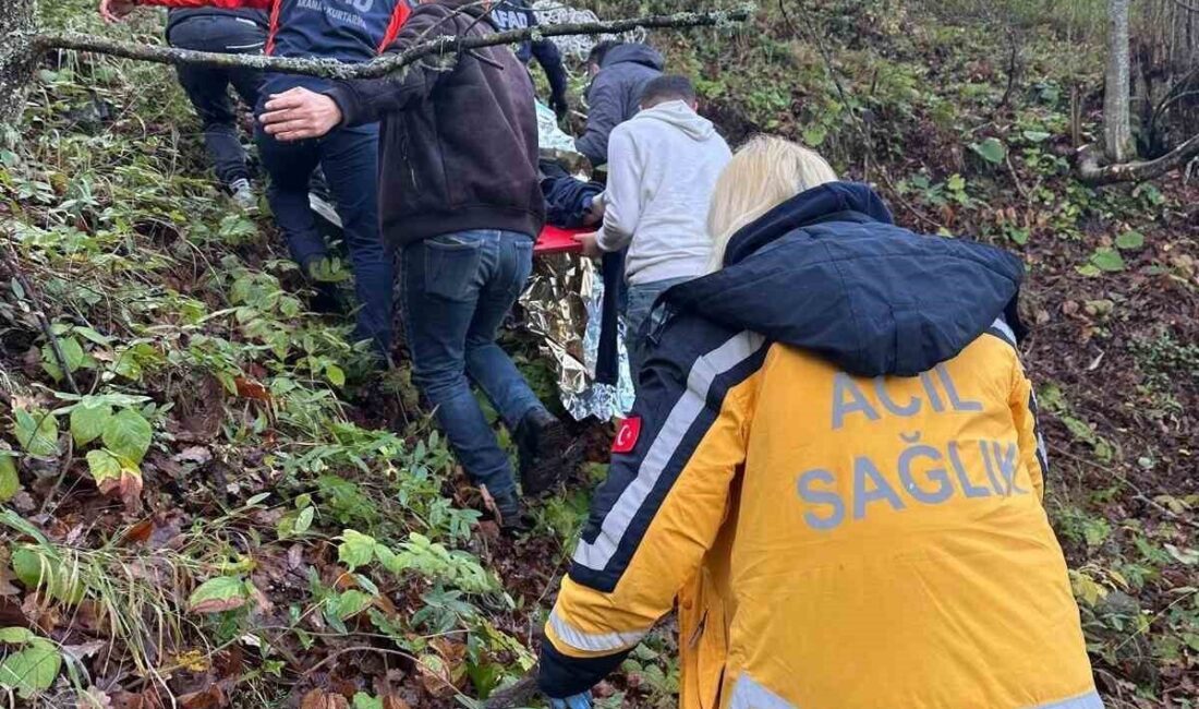 Zonguldak’ta meydana gelen trafik kazasında, aracın ormanlık alana uçması sonucu