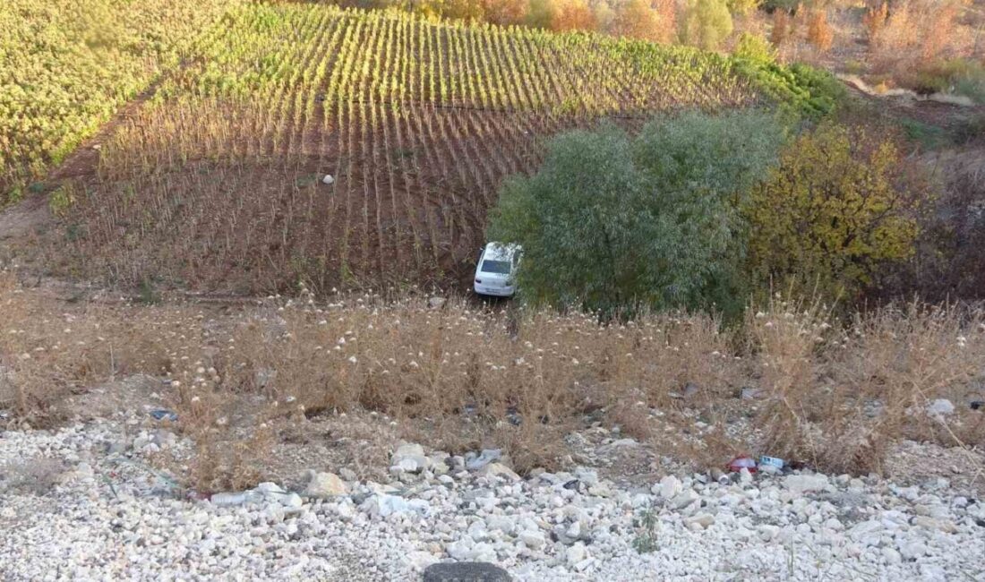 Adıyaman’da yaşanan olayda, yaklaşık 30 metrelik bir şarampolde uçan araçta