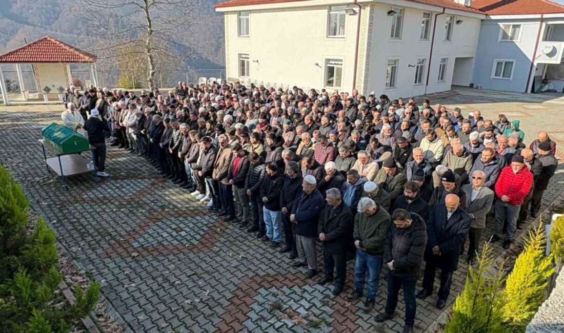 Hendek ilçesinde, D-100 karayolunda meydana gelen bir trafik kazasında, üst