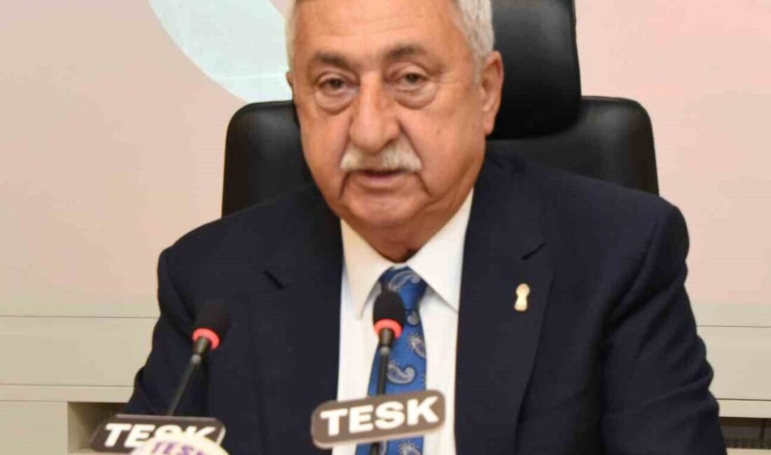Türkiye Esnaf ve Sanatkârları Konfederasyonu (TESK) Genel Başkanı Bendevi Palandöken,