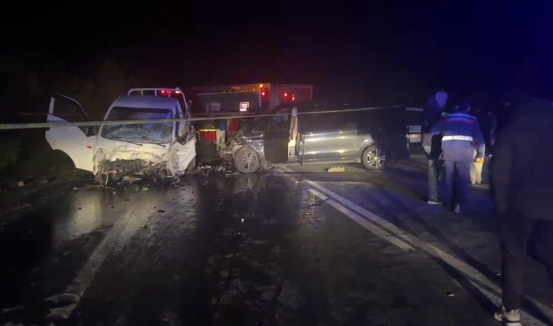 Sakarya’nın Pamukova ilçesinde yaşanan trafik kazasında 1 kişi hayatını kaybetti,