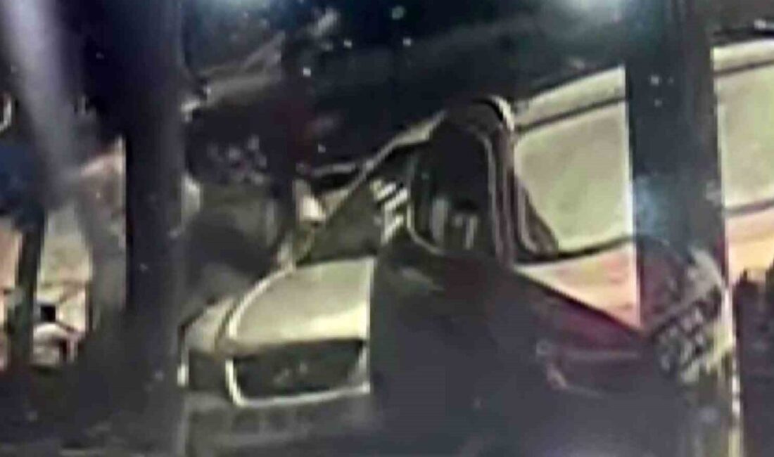 Adana’da bir birey, yolda yürürken park halindeki aracın dikiz aynasını