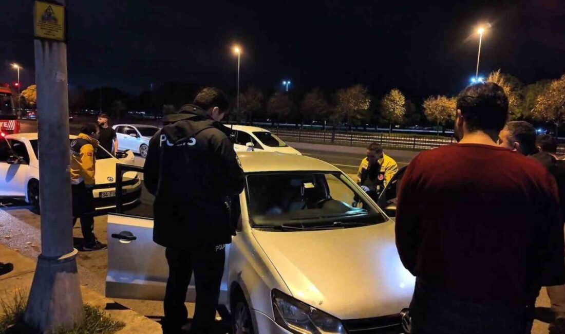 Pendik sahilinde gerçekleşen iki ayrı olayda, neredeyse 100 metre arayla