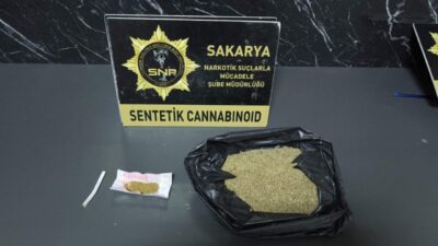 Adapazarı ilçesinde polis ekipleri tarafından gerçekleştirilen operasyonda 9 kişi gözaltına