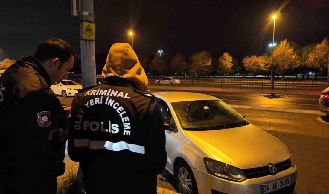 Pendik sahilinde bulunan bir parkta devriye görevi yapan polis ekipleri,