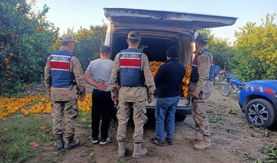 Hatay’da, Erzin ilçesine bağlı Mahmutlu Mahallesi’nde meydana gelen olayda, bir