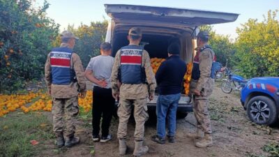 Hatay’da, Erzin ilçesine bağlı Mahmutlu Mahallesi’nde meydana gelen olayda, bir