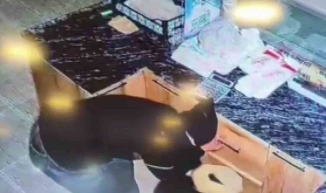 Adıyaman’ın Kahta ilçesinde, bir iş yerinden para ve sadaka kutusu