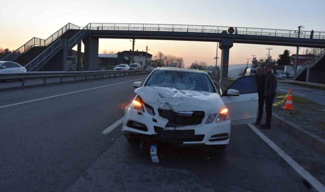 Hendek ilçesinde D-100 karayolunda, Beylice Mahallesi Düzce istikametinde meydana gelen