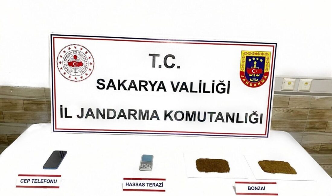 Sakarya’nın Karasu ilçesinde düzenlenen bir operasyonda uyuşturucu bulundurduğu şüphesiyle gözaltına