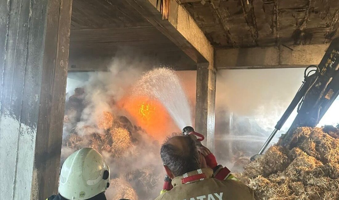 Hatay’ın Samandağ ilçesindeki Meydan Mahallesi’nde bulunan bir ahırın samanlık kısmında