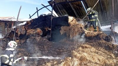 Denizli’nin Çameli ilçesinde samanlıkta başlayan yangın kısa süreli bir paniğe