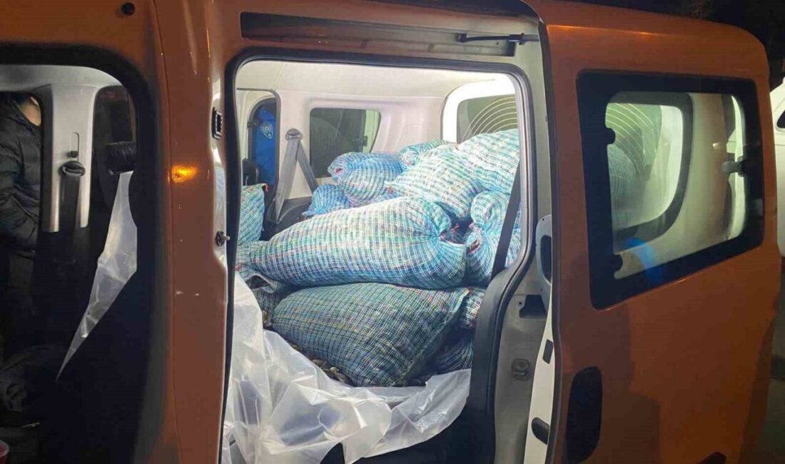 Samsun ilinde gerçekleştirilen operasyonda bir kamyonette yaklaşık 300 kilogram kaçak