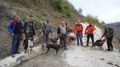 Samsun’daki çiftçiler, bahçeleri ve ekili arazilerine zarar veren domuzlarla başa