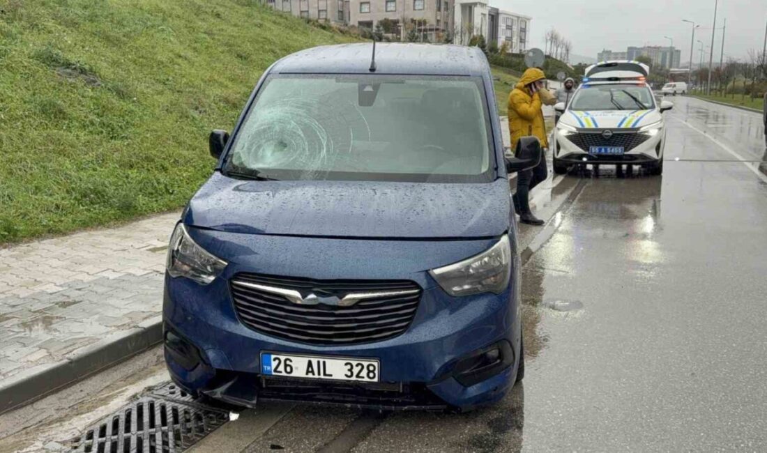 Samsun’da bir kadın yaya, hafif ticari aracın çarpması sonucu yaralandı.
