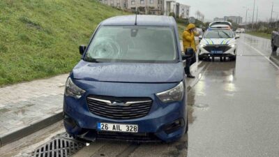 Samsun’da bir kadın yaya, hafif ticari aracın çarpması sonucu yaralandı.