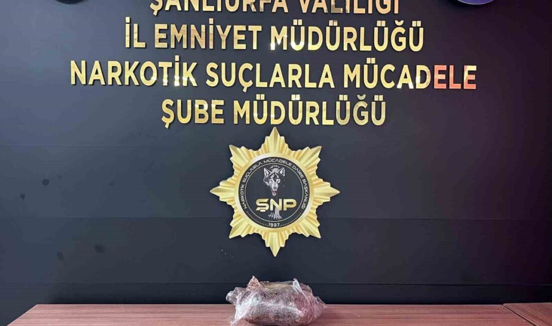 Şanlıurfa’da polis ekipleri tarafından yakalanan bir şahsın üzerinde ve evinde