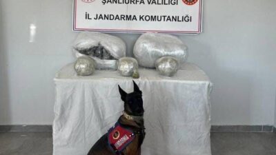 Hilvan ilçesinde jandarma tarafından durdurulan bir araçta skunk ele geçirildi.