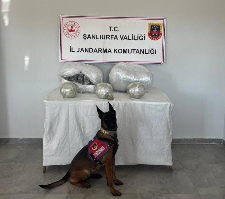 Hilvan ilçesinde jandarma tarafından durdurulan bir araçta skunk ele geçirildi.