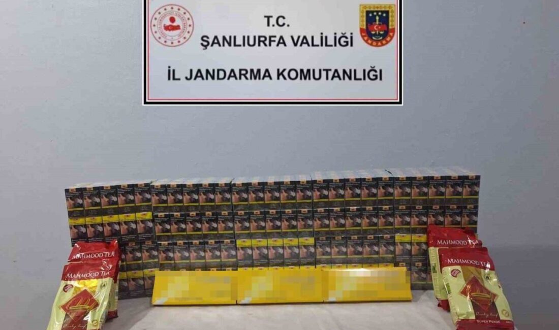 Şanlıurfa’da, kaçak yollarla ülkeye sokulduğu tespit edilen 5 bin paket