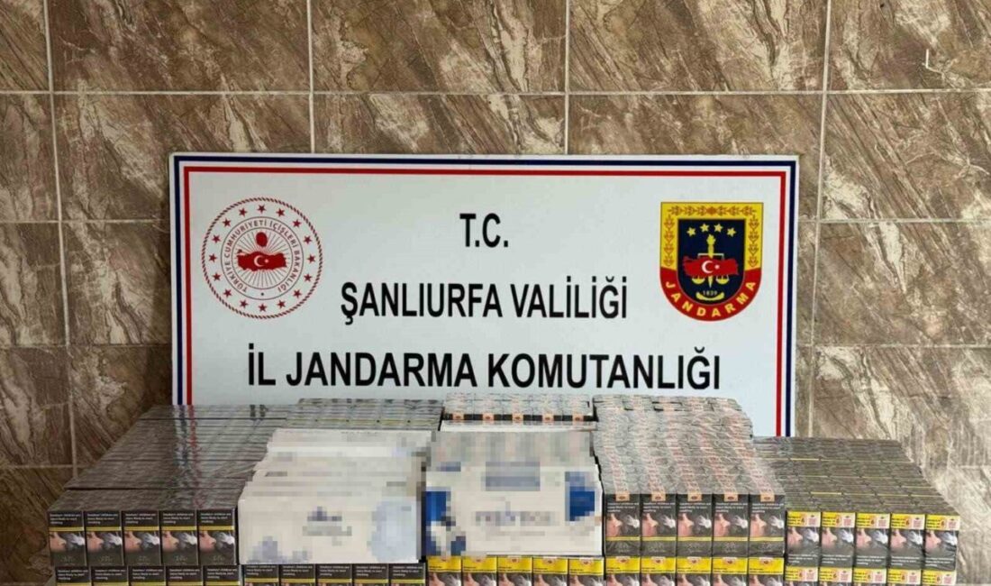Şanlıurfa’da gerçekleştirilen operasyonda, Jandarma ekipleri tarafından 7.958 paket kaçak sigara