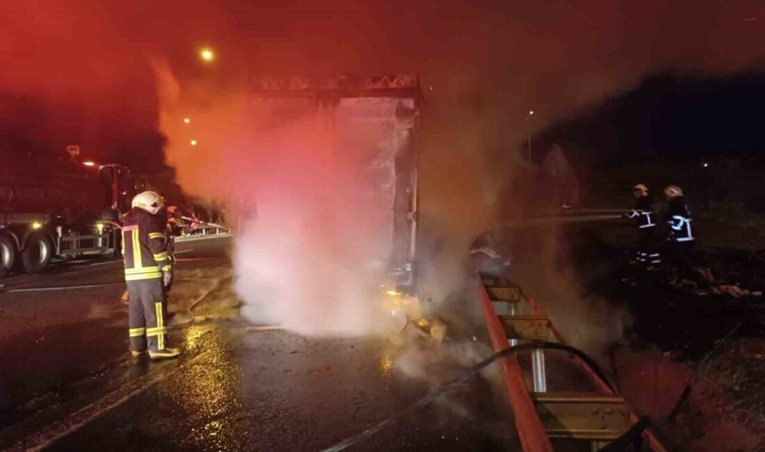 Şanlıurfa’da, Gaziantep Otoyolu Kazlar Mahallesi mevkisinde seyir halindeki beyaz eşya