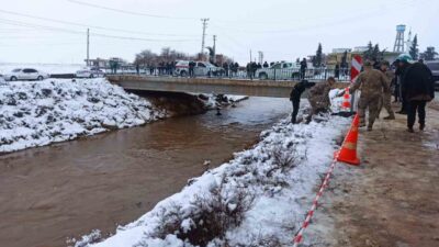 Harran ilçesinde, otomobilin tahliye kanalına devrilmesi sonucu 4 kişi kayboldu.