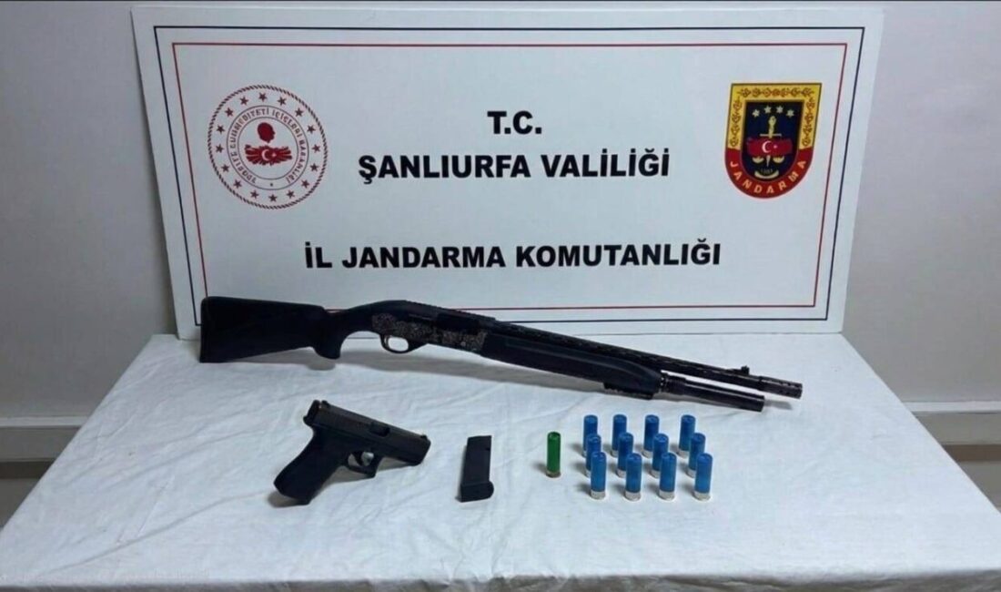 Şanlıurfa’nın Siverek ve Eyyübiye ilçelerinde jandarma ekipleri tarafından yapılan kontrollerde