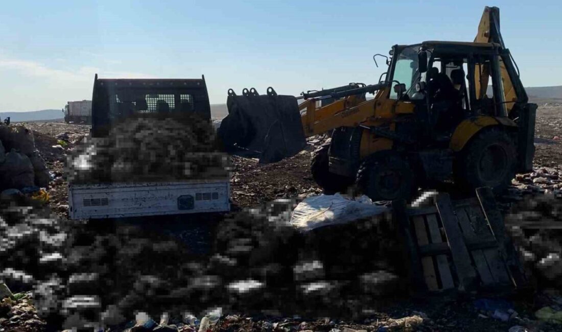 Eyyübiye Belediyesi Zabıta Müdürlüğü ekipleri, Kadıkendi Mahallesi’nde bir işletmenin deposunda