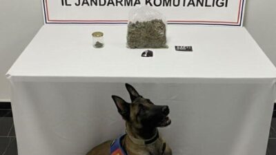 Şanlıurfa’da jandarma ekipleri tarafından gerçekleştirilen operasyonda bir miktar uyuşturucu madde