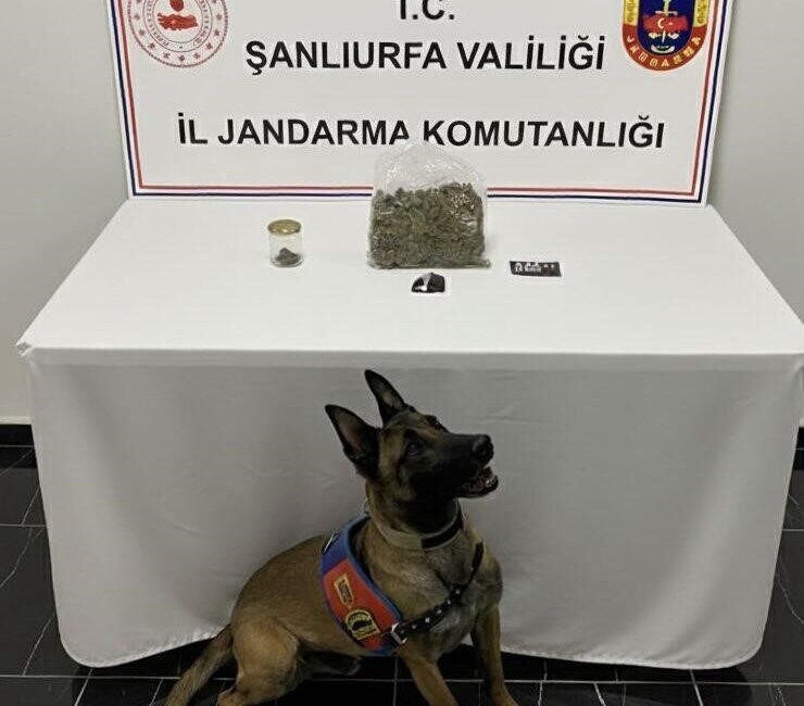 Şanlıurfa’da jandarma ekipleri tarafından gerçekleştirilen operasyonda bir miktar uyuşturucu madde
