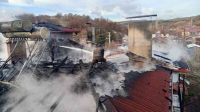 Kütahya’nın Şaphane ilçesinde bulunan Karamanca köyünde, Fevzi Özçelik’e ait iki