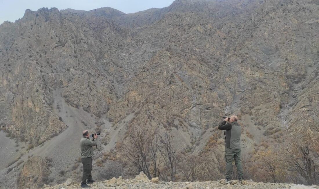 Siirt’te, ava kapalı bir alanda av tüfeği kullanarak avlanan bir