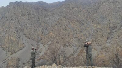 Siirt’te, ava kapalı bir alanda av tüfeği kullanarak avlanan bir