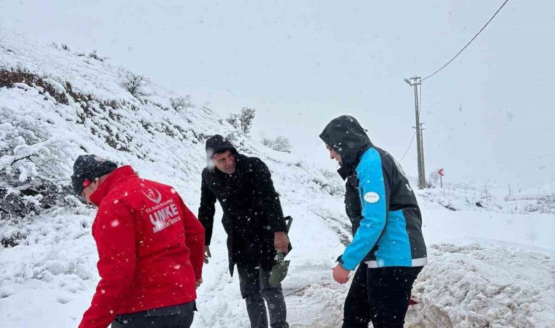 Siirt’te kar yağışı sebebiyle mahsur kalan bir diyaliz hastası, Baykan