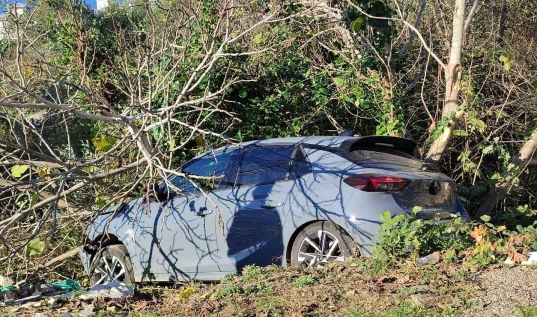 Sinop’ta bir aracın kontrolden çıkarak ağaçlık alana devrilmesi sonucu meydana