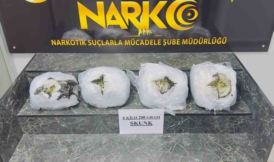 Şırnak’ta gerçekleştirilen bir uyuşturucu operasyonunda, 6 kilo 200 gram skunuk
