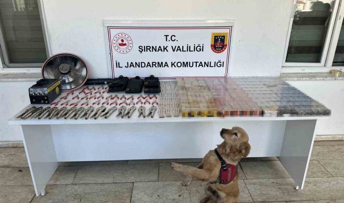Şırnak’ta, İl Jandarma Komutanlığı KOM Şube Müdürlüğü ekipleri tarafından gerçekleştirilen