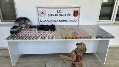 Şırnak’ta, İl Jandarma Komutanlığı KOM Şube Müdürlüğü ekipleri tarafından gerçekleştirilen