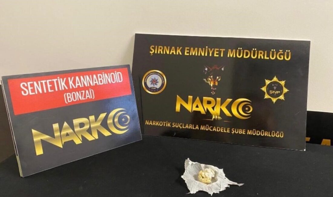 Şırnak’ta gerçekleştirilen polis operasyonlarında 62 kişi gözaltına alındı. Operasyon kapsamında