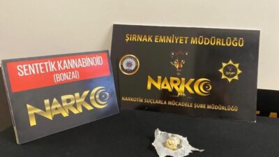Şırnak’ta gerçekleştirilen polis operasyonlarında 62 kişi gözaltına alındı. Operasyon kapsamında