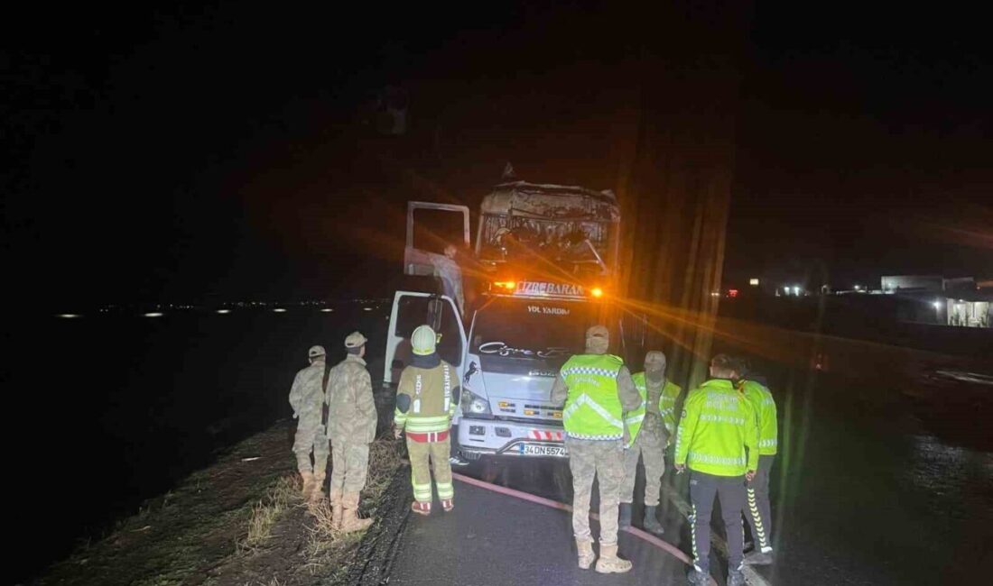 Şırnak’ın İdil ilçesinde seyir halindeyken alev alan bir tır kullanılamaz