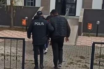 Sivas’ın Gemerek ilçesinde farklı tarihlerde üç ayrı Kangal köpek hırsızlığı