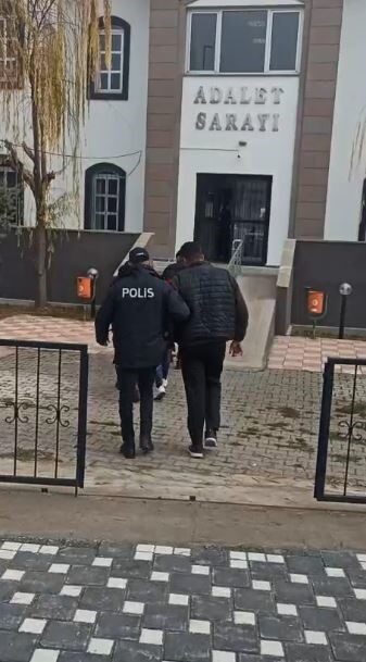Sivas’ın Gemerek ilçesinde farklı tarihlerde üç ayrı Kangal köpek hırsızlığı