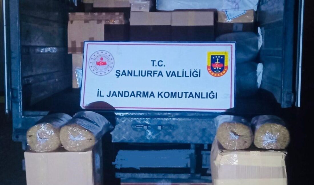 Şanlıurfa İl Jandarma Komutanlığı ekipleri, Siverek ilçesinde düzenledikleri operasyonda yaklaşık